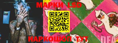 винт Ачхой-Мартан