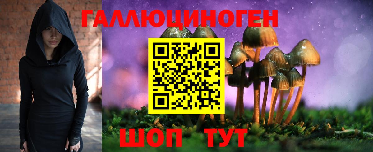 Боровичи  Галлюциногенные грибы ЛСД  Вход с VPN 